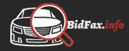 bidfax.info logo